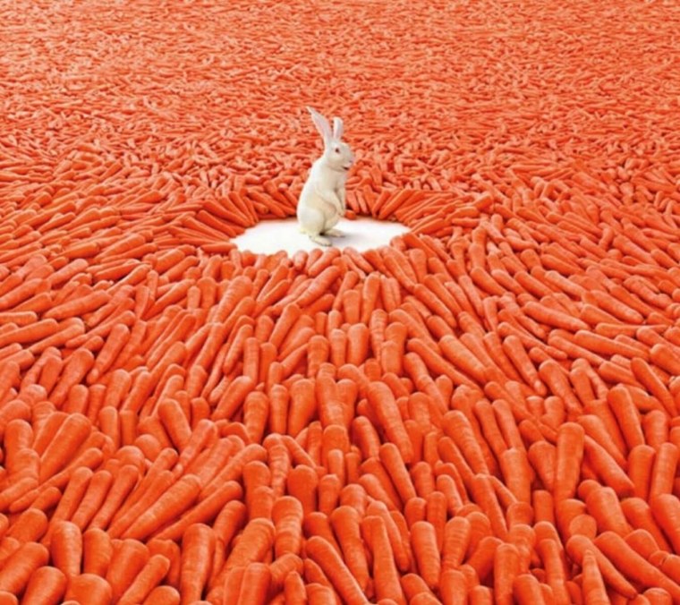 Мечты сбываются