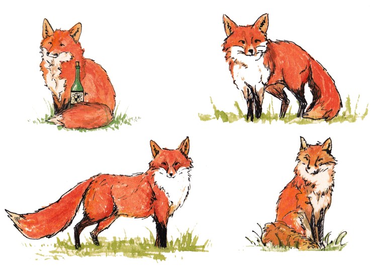 Лисица с лисенком для дошкольников