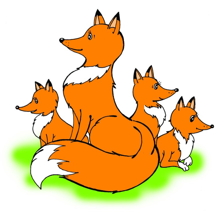 Лиса и Лисенок на белом фоне