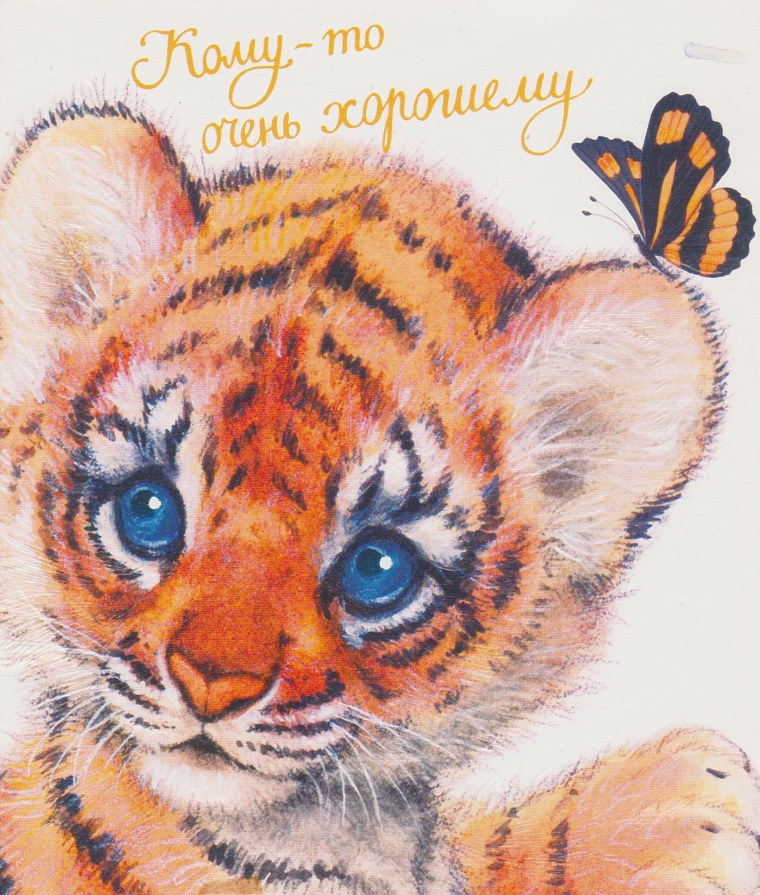 Тигренок скучает