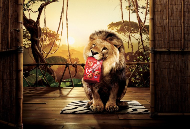 Креативный Лев