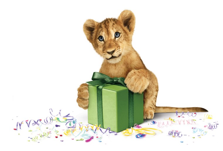 Открытка с днем рождения Львенок