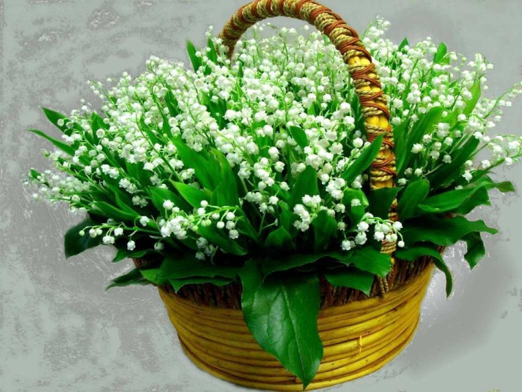 Ландыши в корзинке