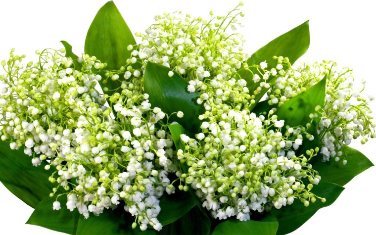 Букет ландышей