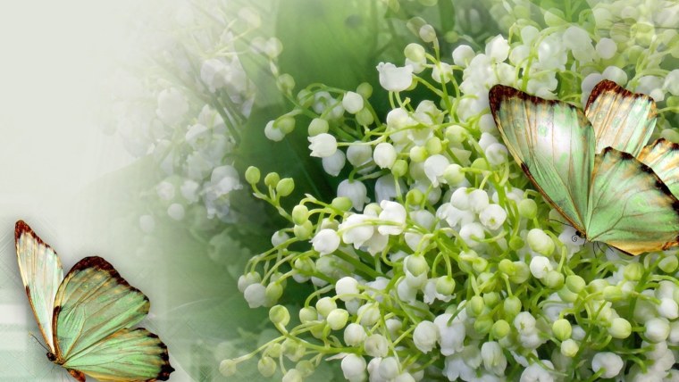 Milato алмазная мозаика