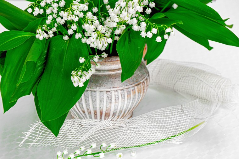 Фрея Ландыши