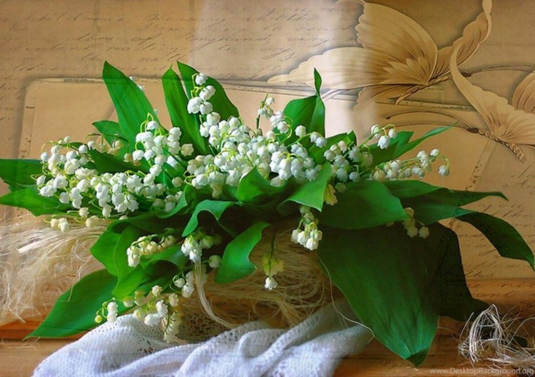 Ландыши Эстетика