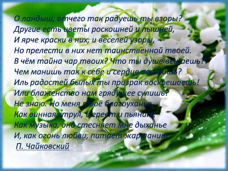 Интересные факты о ландыше для 3 класса