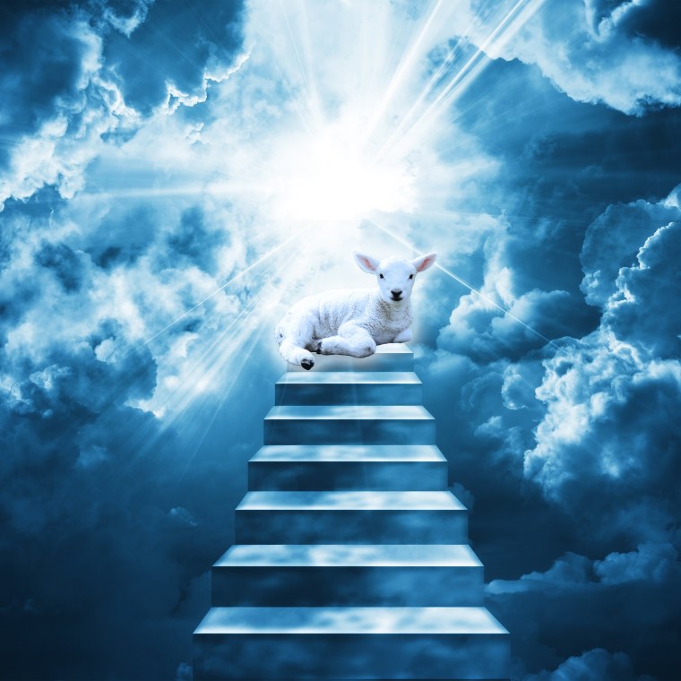 Лестница в рай