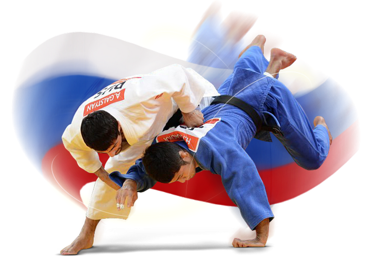 Самбо дзюдо