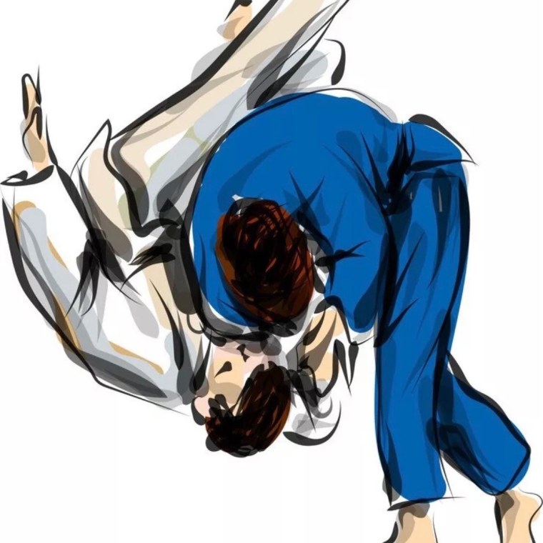 Дзюдо аниме