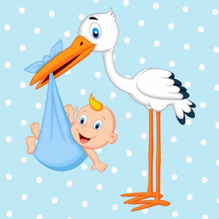 Аист с новорожденным