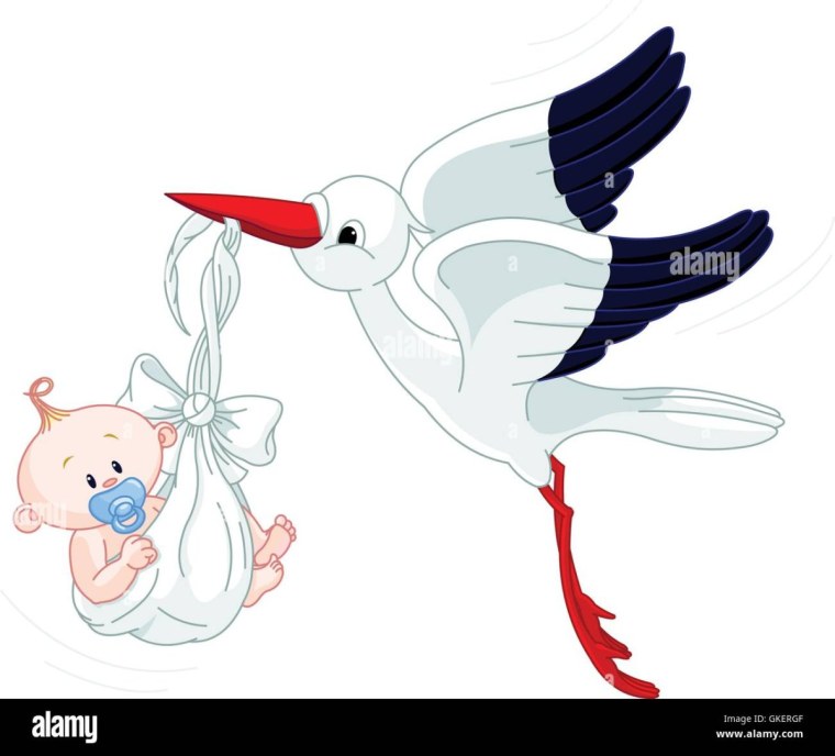 Аист с малышом