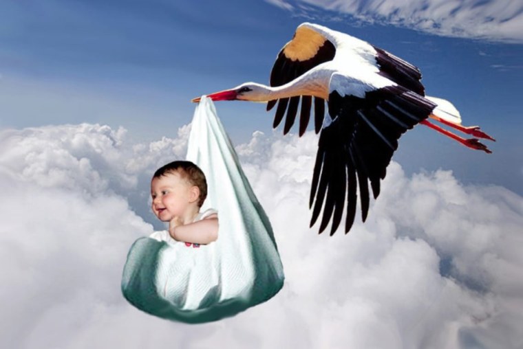Аист приносит ребенка