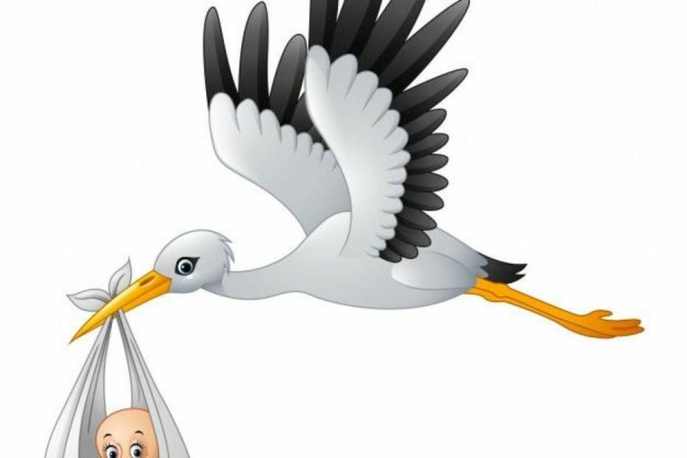 Аист с ребенком в клюве