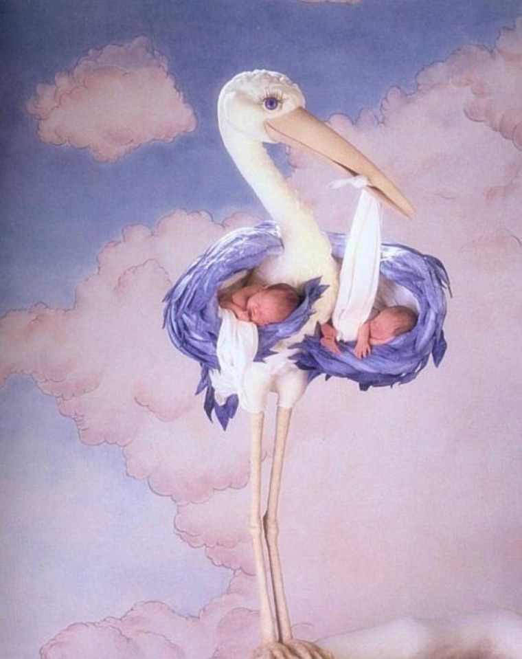 Рождение ребенка Аист