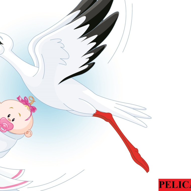 Аист с ребенком