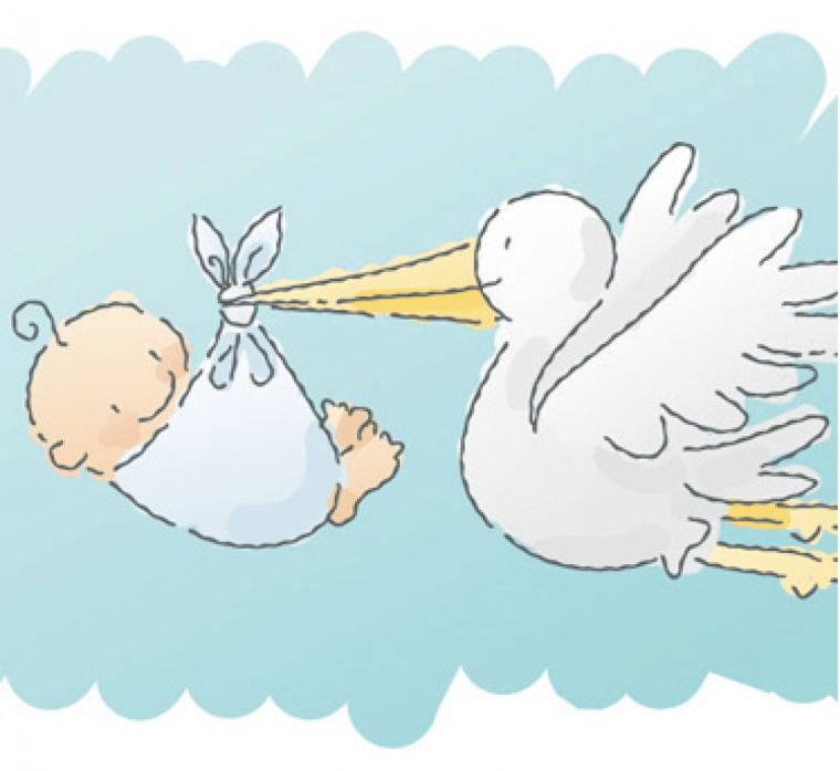 Ждем малыша