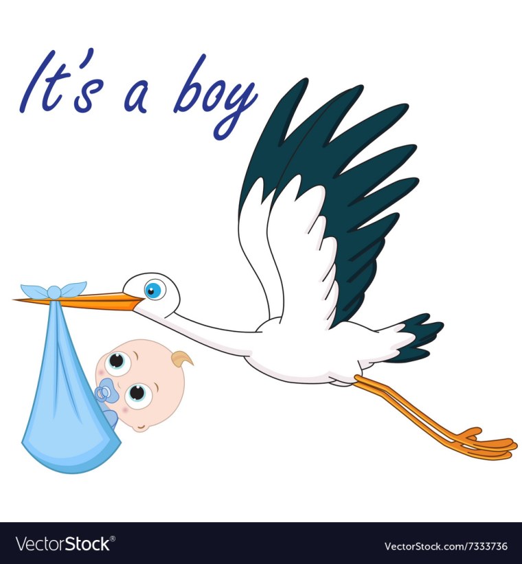 Аист с младенцем мальчиком