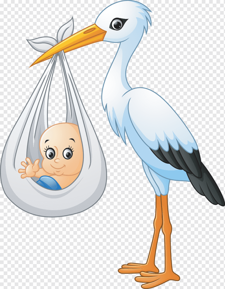 Аисты мультяшные