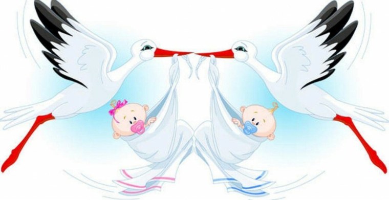 Аист с ребенком девочкой