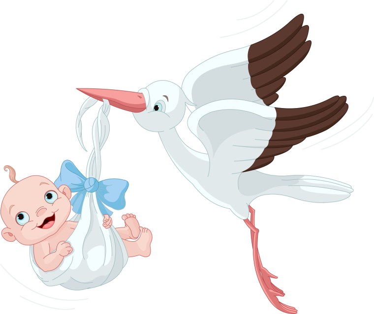 Аист несет малыша