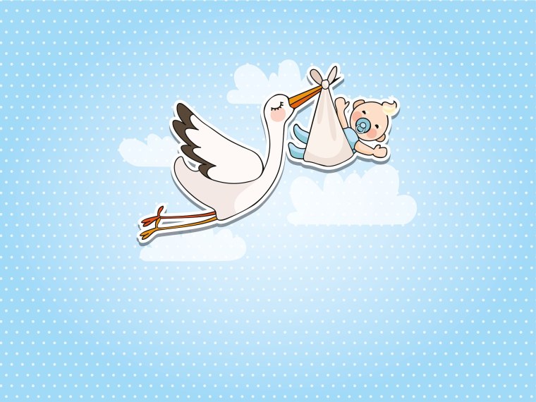 Аист с малышом