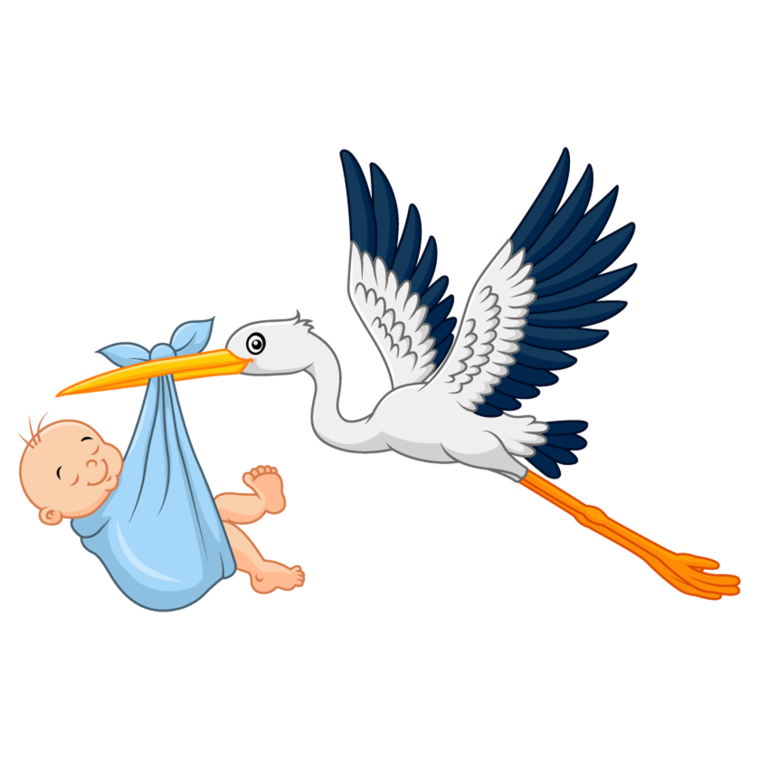 Аист несёт младенца