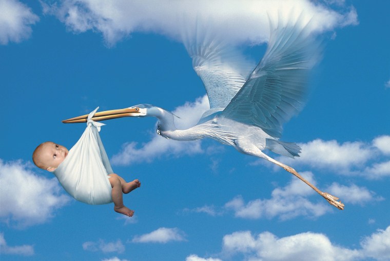 Аист принес малыша