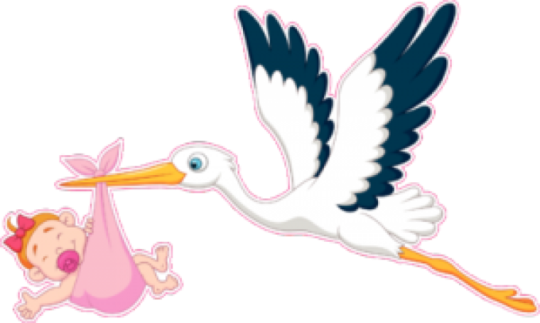 Аист с малышом