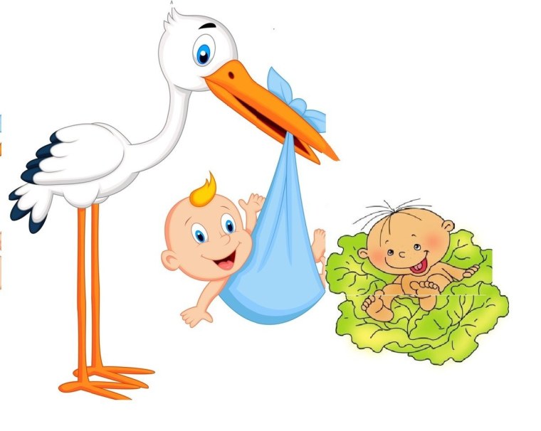 Аист с младенцем картинки