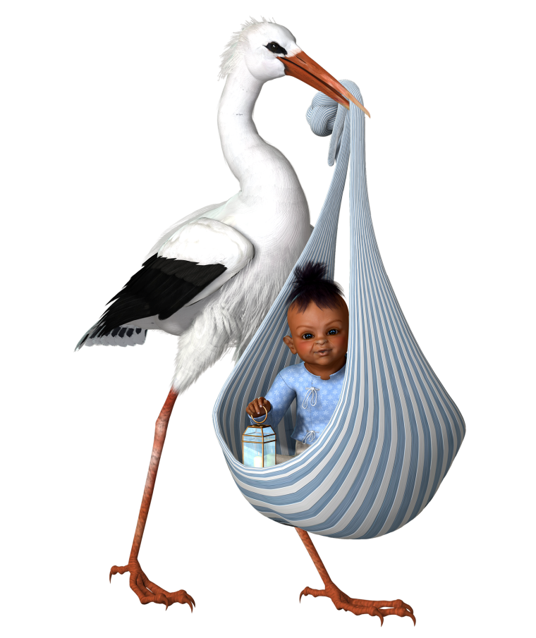 Аист с малышом