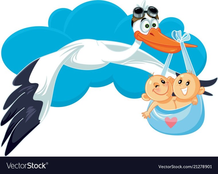 Аист с двойней