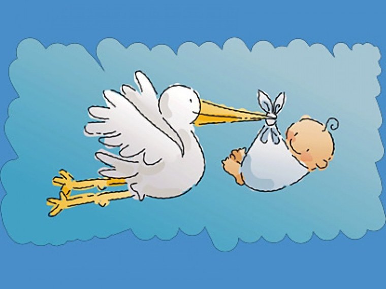 У нас пополнение в семье