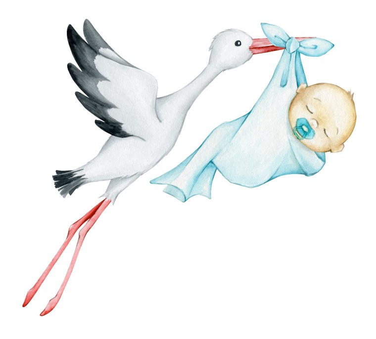 Аист с младенцем