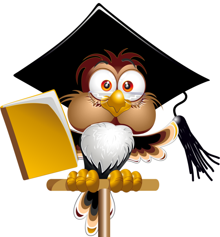 Сова с указкой