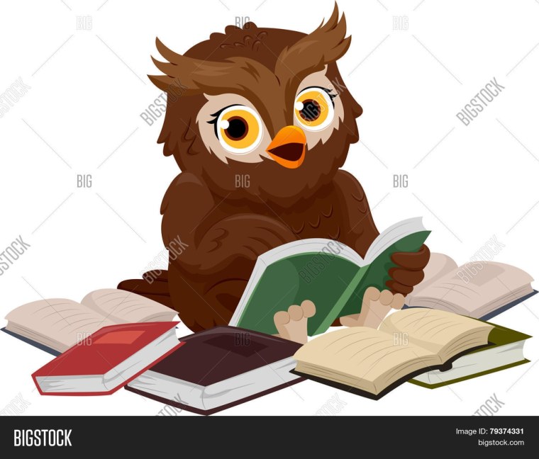 Сова с открытой книгой