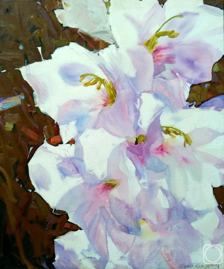 Цветы в контражуре живопись