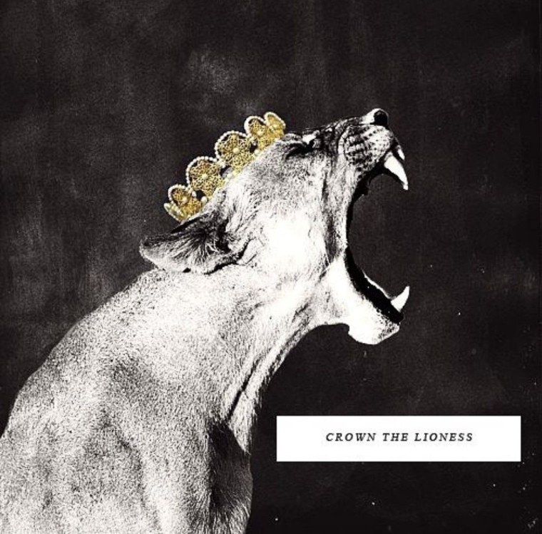 Животные Эстетика Лев