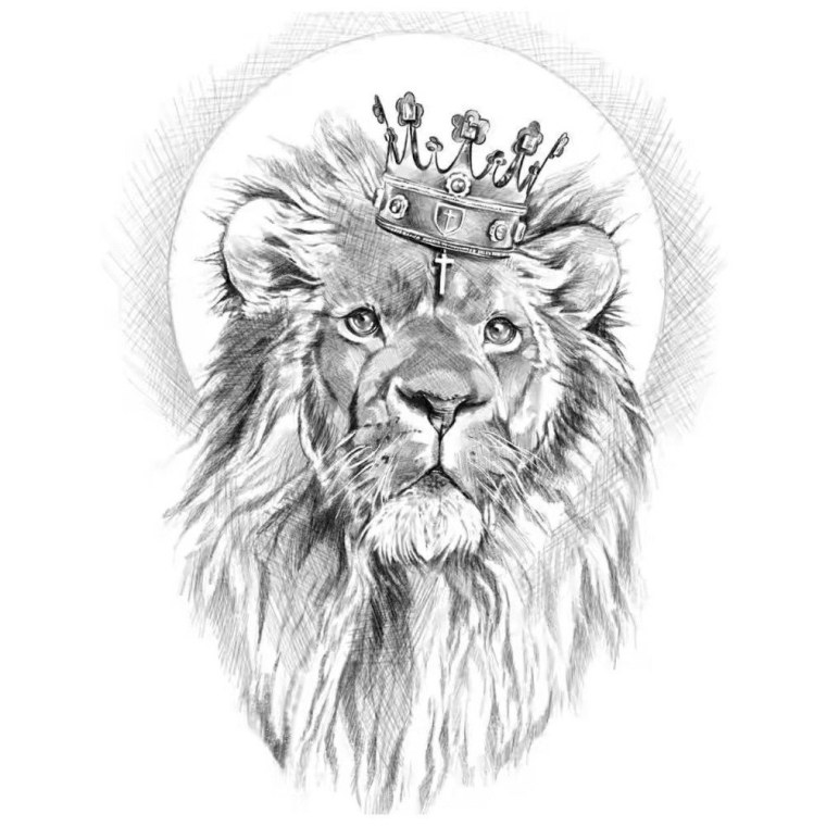 Лев эскиз