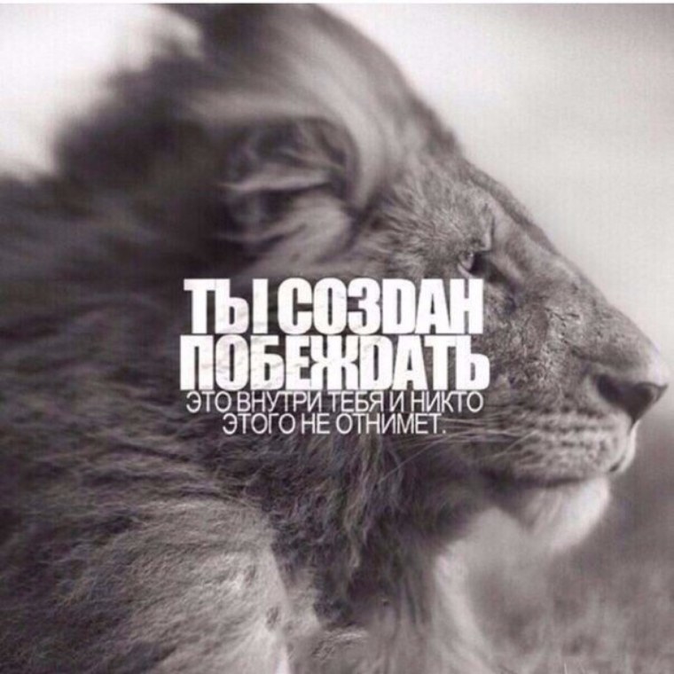Победи себя и ты победишь весь мир