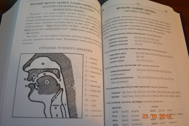 Латинский алфавит буквы