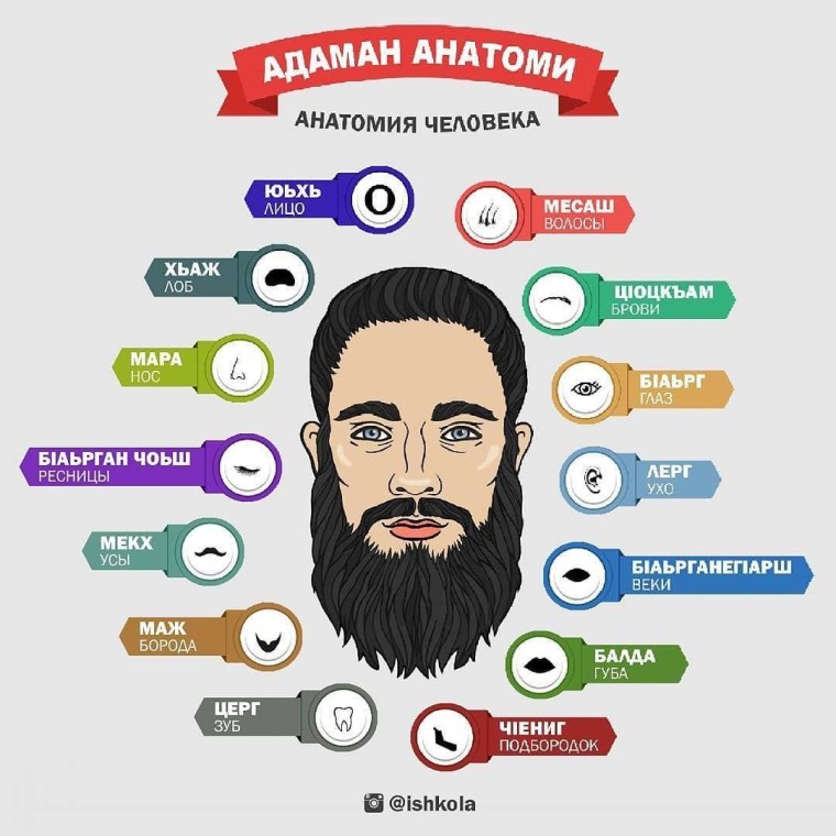 Арабский алфавит на чеченском