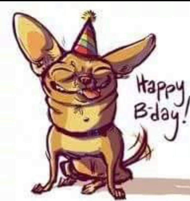 С днём рождения чихуахуа