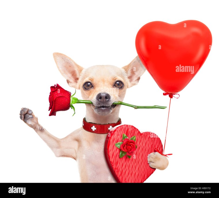 Собачка с сердечком