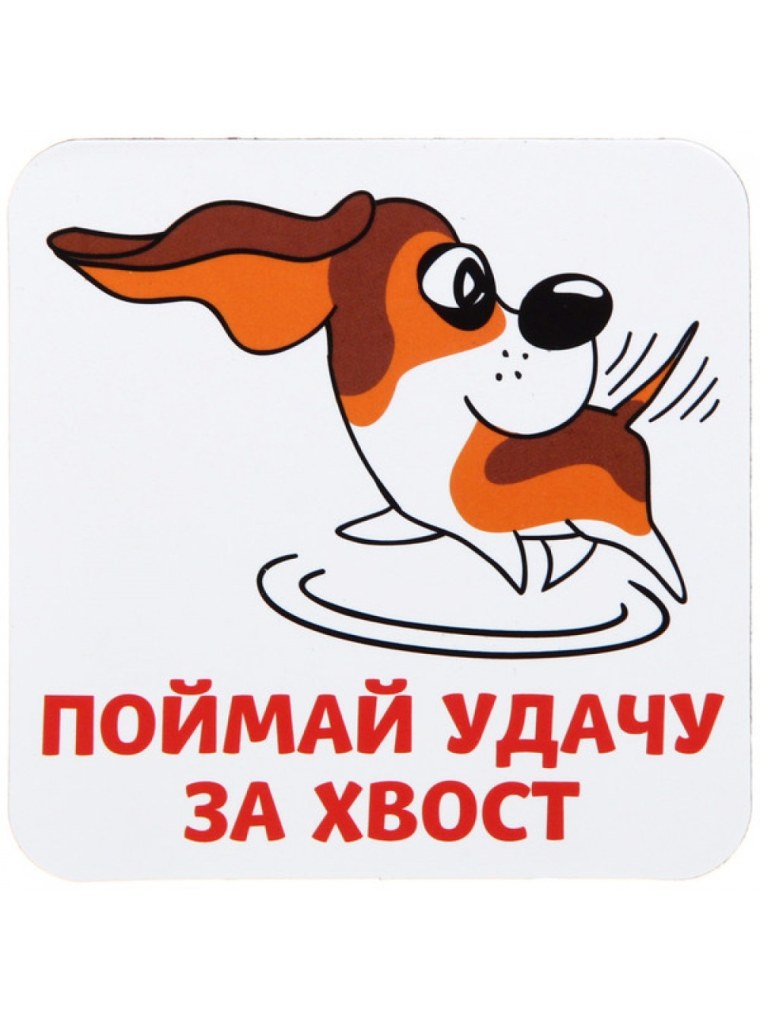 Лови удачу за хвост