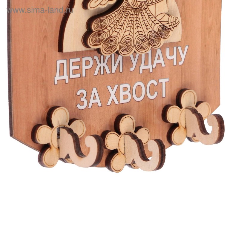 Поймай удачу за хвост