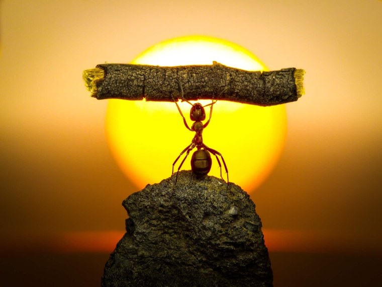 Способы самомотивации