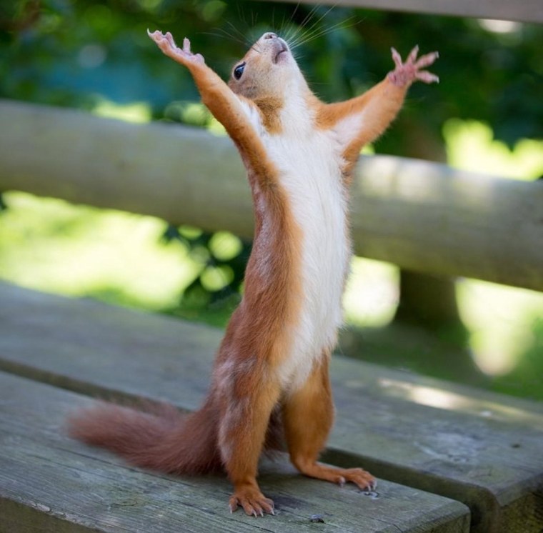 С совершеннолетием поздравления