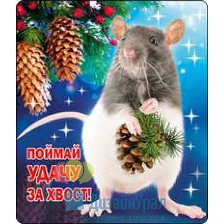Поймай удачу за хвост прикольные